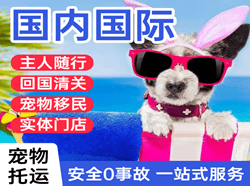龙洞堡航空物流国际宠物托运 【国